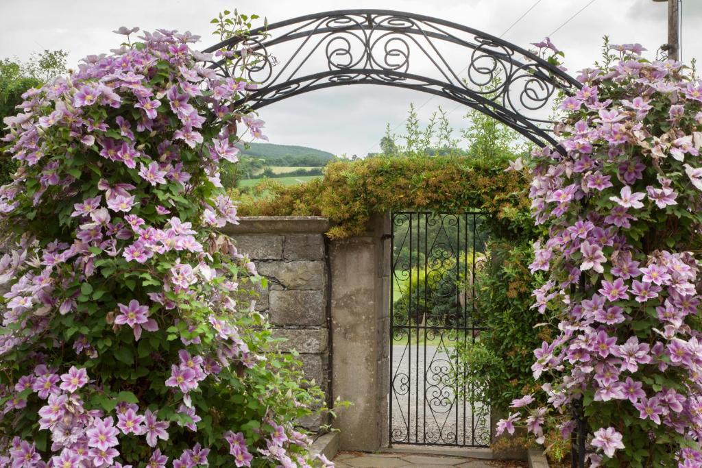 Glasha Farmhouse Vendégház Ballymacarbry Kültér fotó