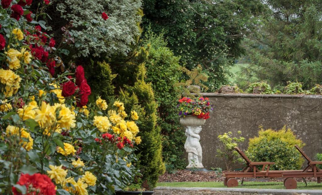 Glasha Farmhouse Vendégház Ballymacarbry Kültér fotó